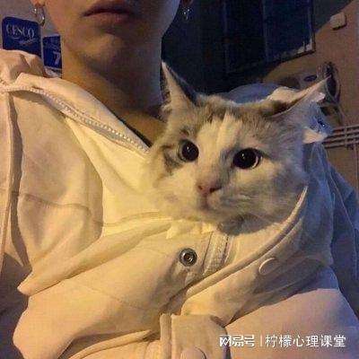 神鬼传奇最新单机版下载