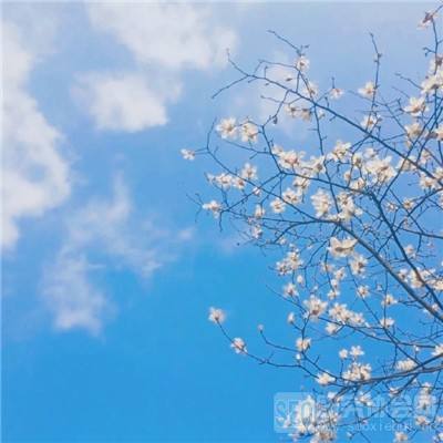 九游大圣驾到官方版下载