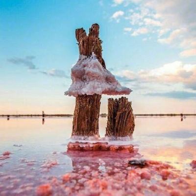 xchhy88星辰互娱手游盒子下载